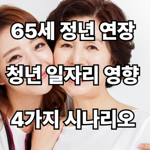 65세 정년 연장  청년 일자리 영향 